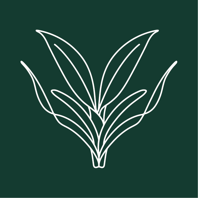 Logo verdalba